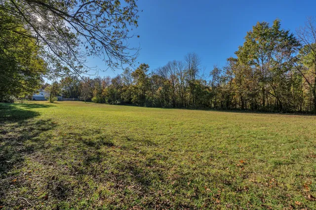a backyard of a house with lots of green space