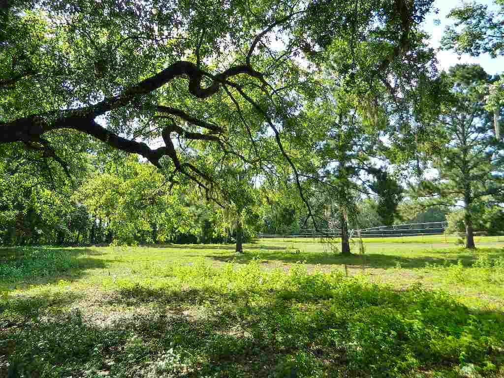 599 Wayside Farm Road Havana, FL 32333 - Photo 1 of 29 Gallery Image 1