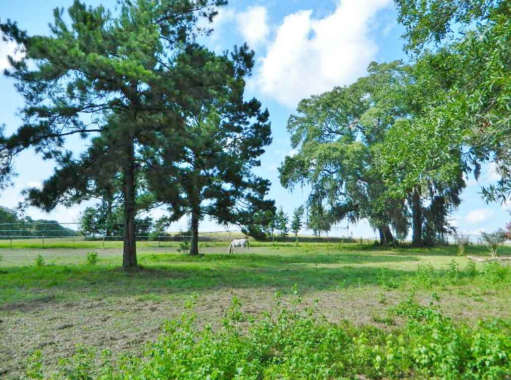 599 Wayside Farm Road Havana, FL 32333 - Photo 2 of 29 Gallery Image 2