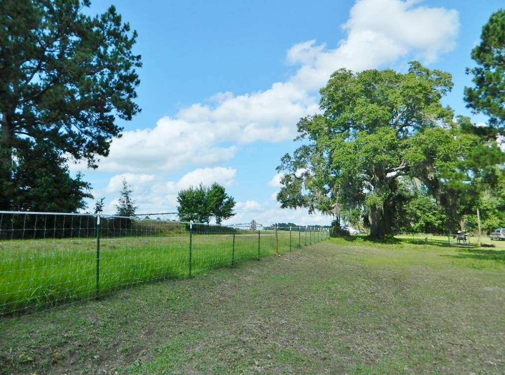 599 Wayside Farm Road Havana, FL 32333 - Photo 3 of 29 Gallery Image 3