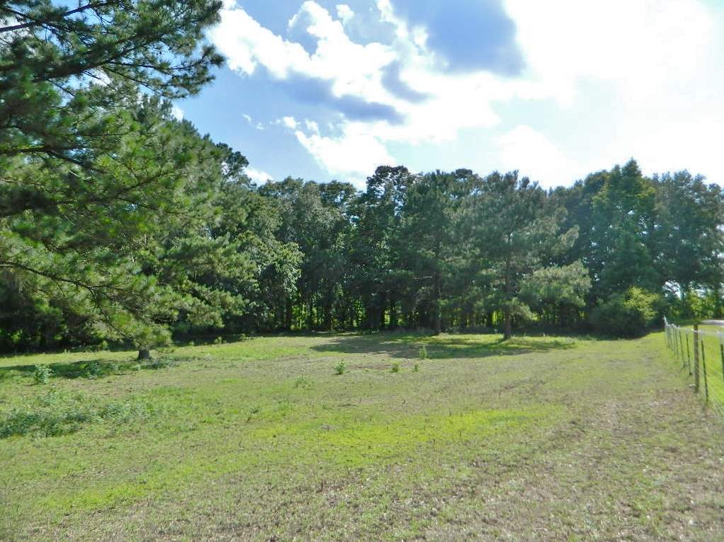 599 Wayside Farm Road Havana, FL 32333 - Photo 4 of 29 Gallery Image 4