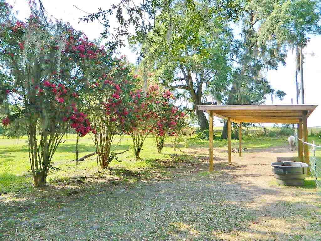 599 Wayside Farm Road Havana, FL 32333 - Photo 5 of 29 Gallery Image 5