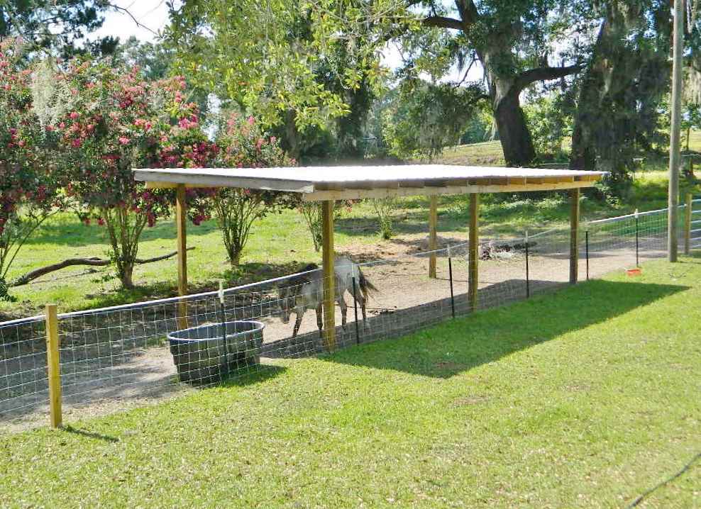599 Wayside Farm Road Havana, FL 32333 - Photo 6 of 29 Gallery Image 6