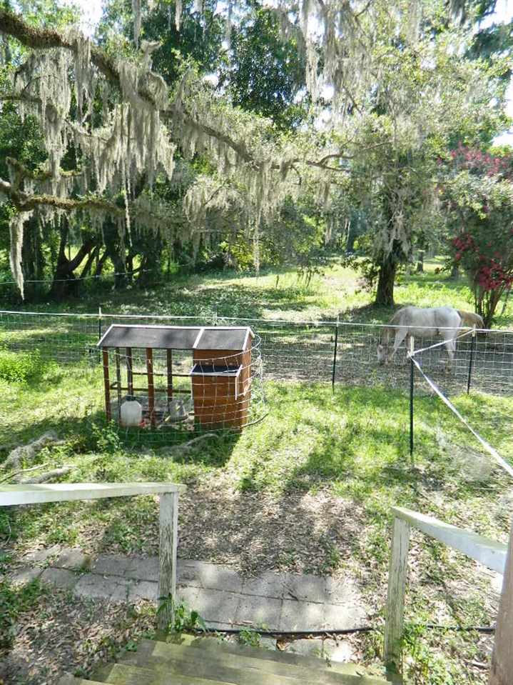 599 Wayside Farm Road Havana, FL 32333 - Photo 8 of 29 Gallery Image 8