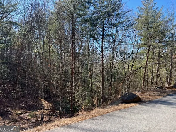 a view of a street with a tree