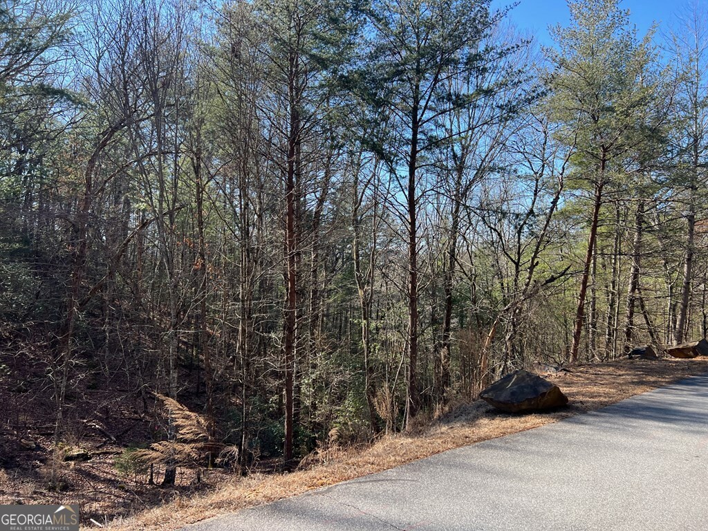 Lot 19 Mission Ridge Hayesville, NC 28904 - Photo 3 of 13 a view of a street with a tree