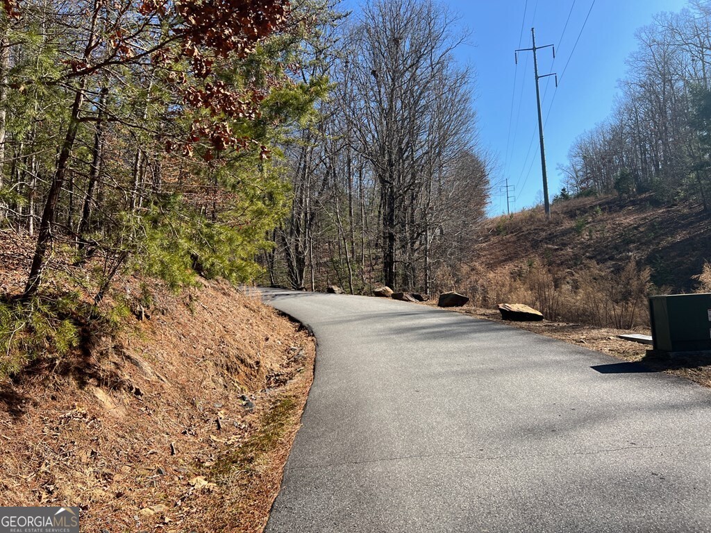 Lot 19 Mission Ridge Hayesville, NC 28904 - Photo 4 of 13 a view of road and with trees