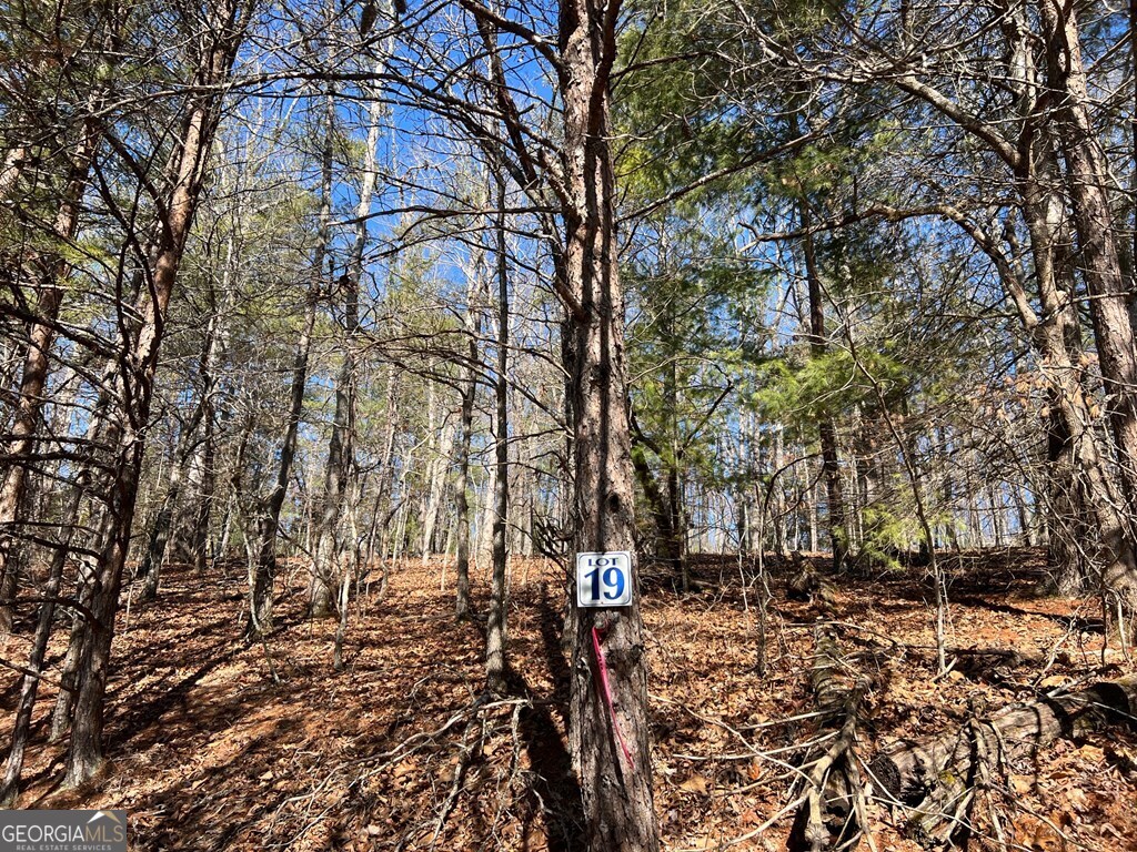 Lot 19 Mission Ridge Hayesville, NC 28904 - Photo 5 of 13 a view of outdoor space