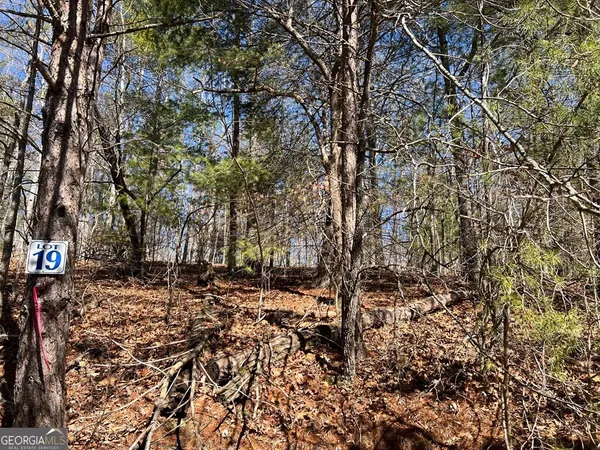 a view of a yard with large trees