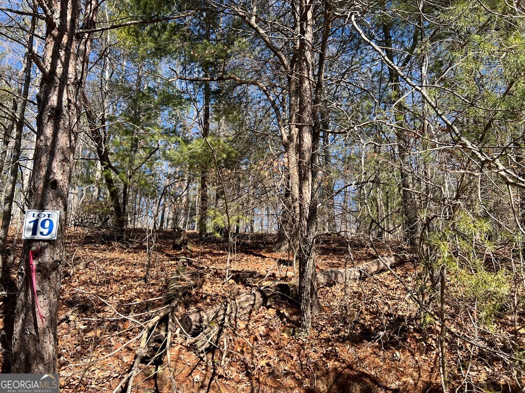 Lot 19 Mission Ridge Hayesville, NC 28904 - Photo 8 of 13 a view of a yard with large trees