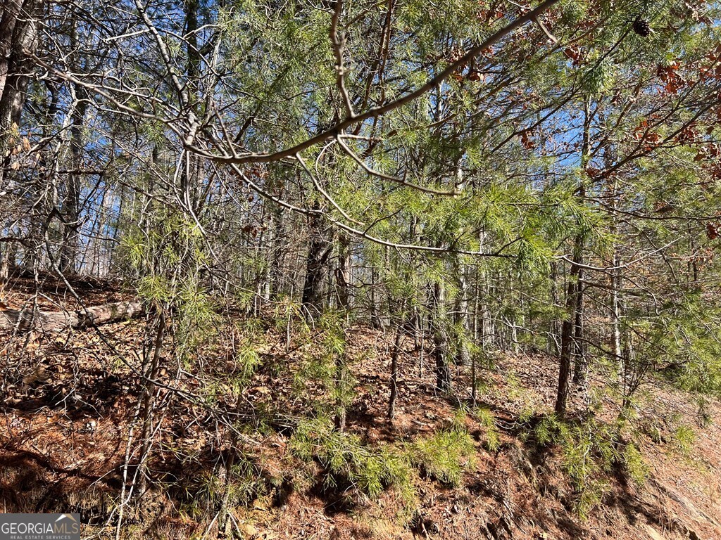 Lot 19 Mission Ridge Hayesville, NC 28904 - Photo 9 of 13 a view of a yard with a tree