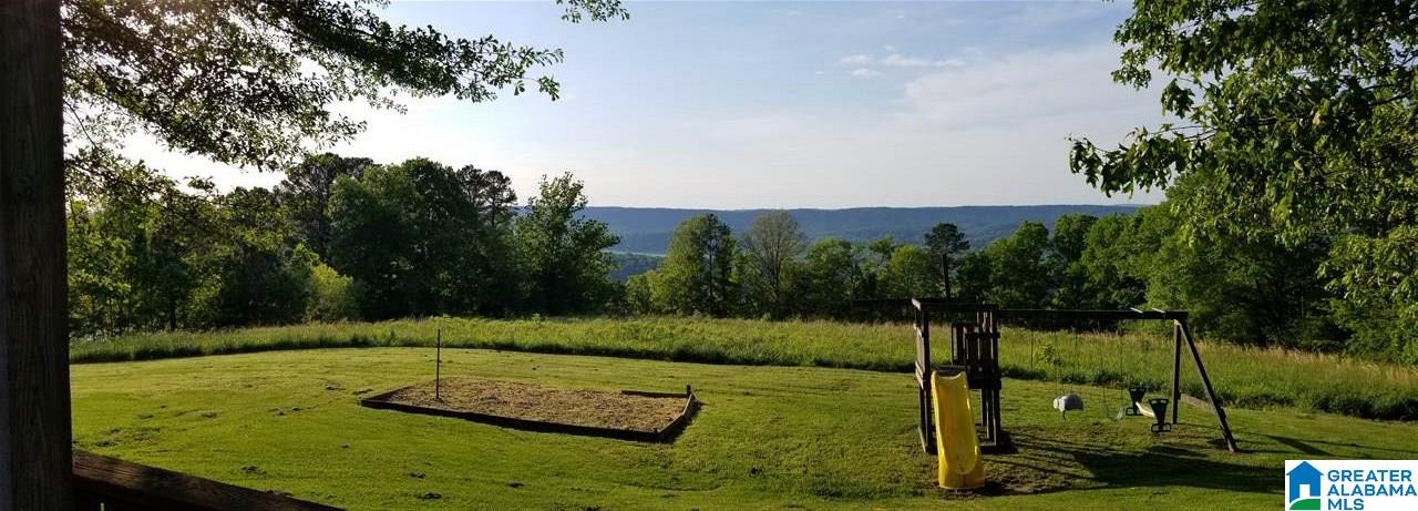 5381 Chandler Mountain Road Steele, AL 35987 - Photo 24 of 27