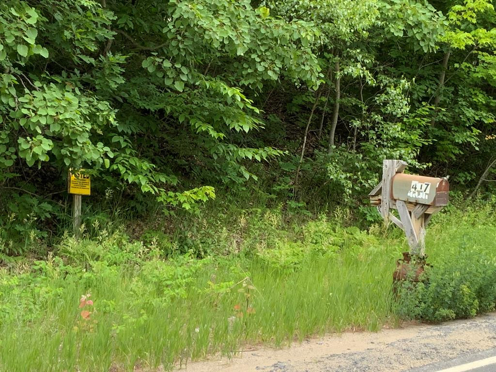 0 Ore Bed Road Schuyler Falls, NY 12985 - Photo 6 of 6 Photo 6