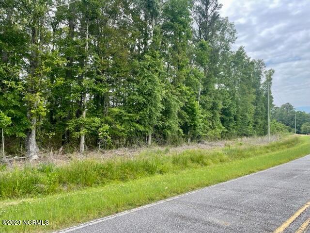 358 Gum Neck Road Belhaven, NC 27810 - Photo 6 of 7 IMG_1375