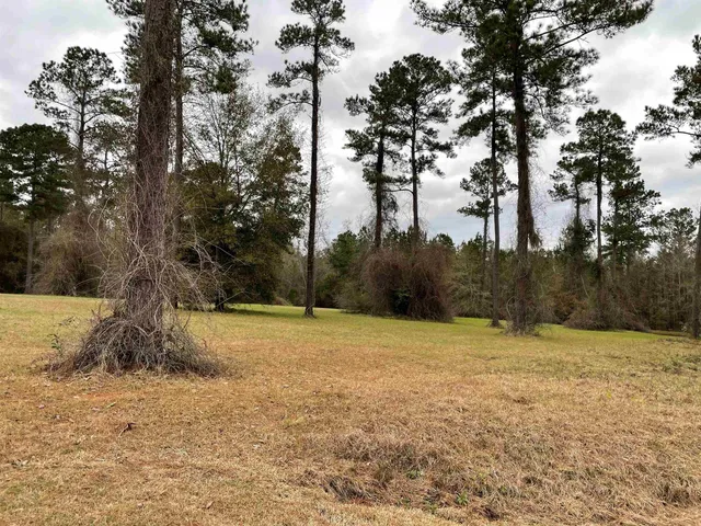 $80,000 | Lot 19 Wisteria Lane, Havana, FL 32333