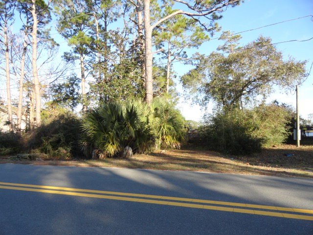 339 River Road Carrabelle, FL 32322 - Photo 2 of 14 Gallery Image 2