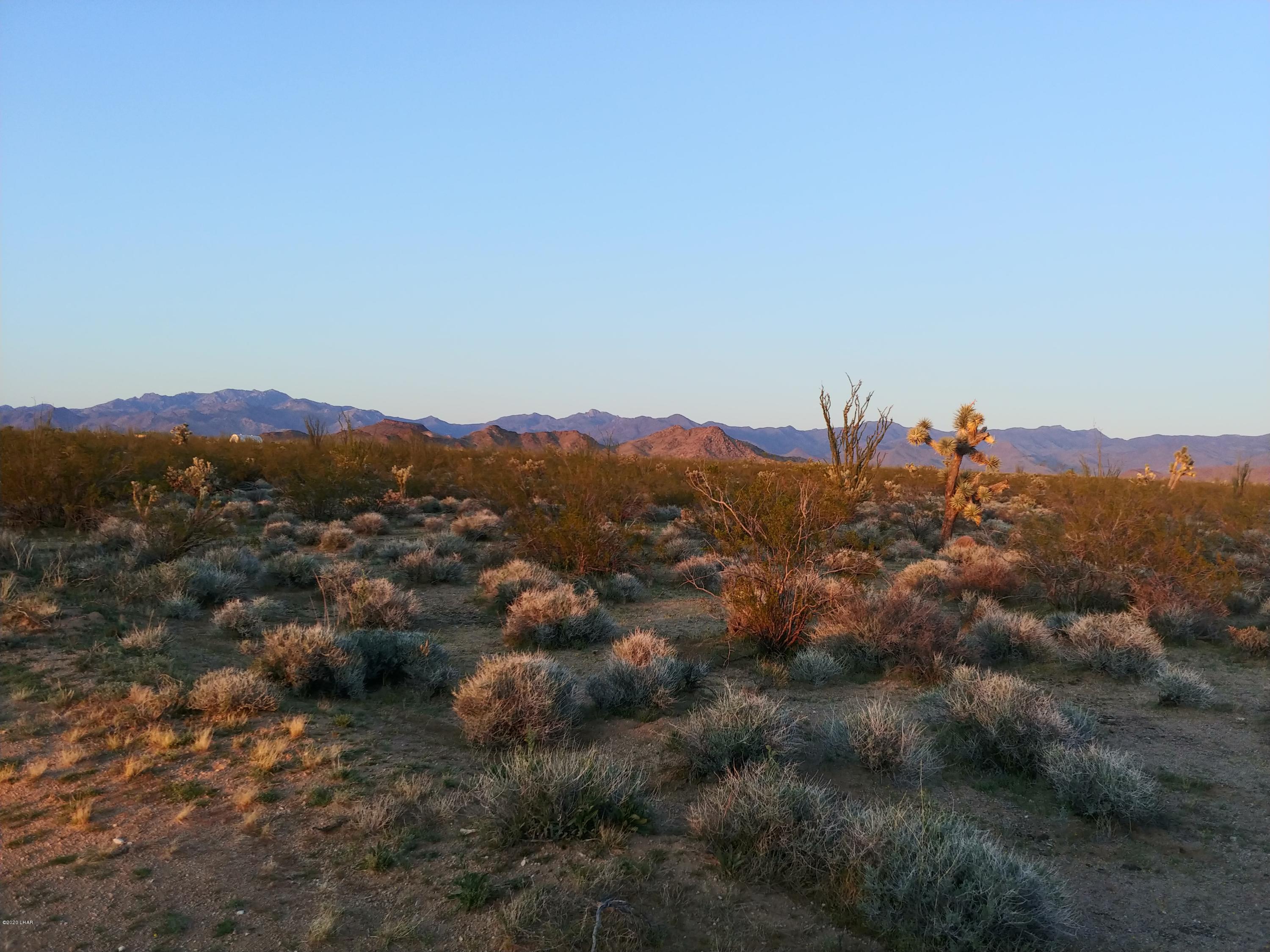 822 South Lone Ranger Road Yucca, AZ 86438 - Photo 9 of 25 0308201831