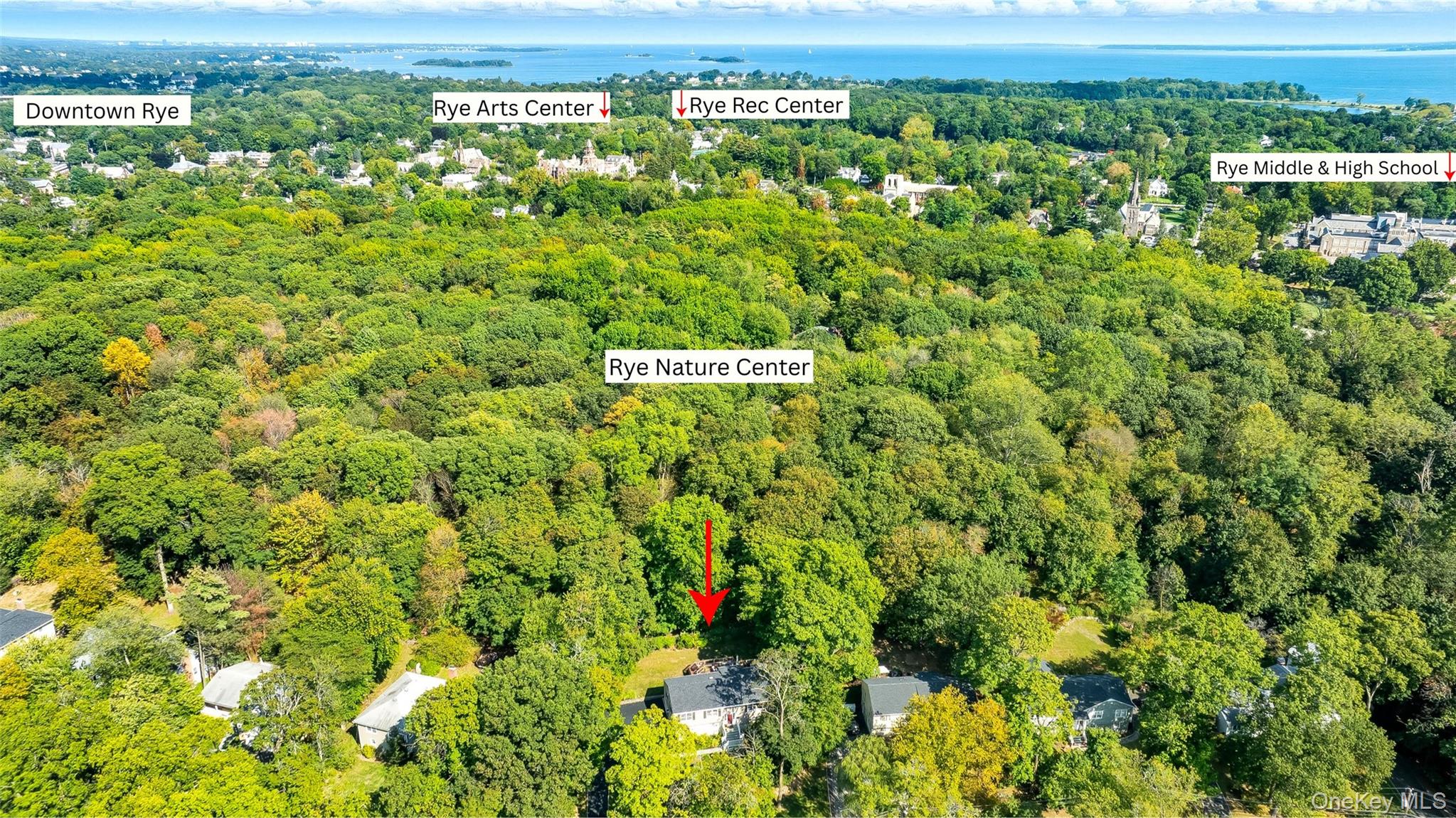 80 North Street Rye, NY 10580 - Photo 4 of 37 a view of a field with plants