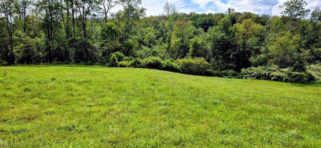 0 Miner Road Lanesborough, MA 01237 - Photo 11 of 28 a view of a yard with a tree