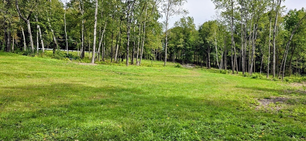 0 Miner Road Lanesborough, MA 01237 - Photo 15 of 28 a view of a grassy field with trees in the background