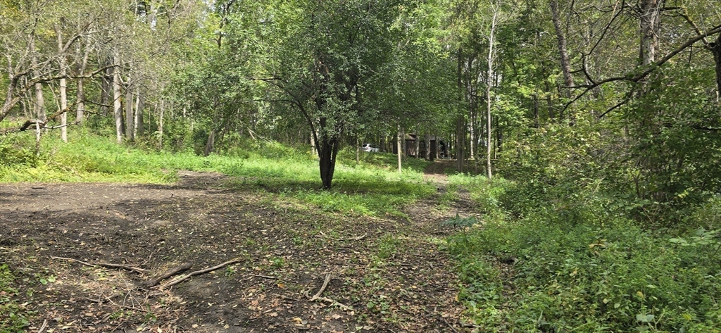 0 Miner Road Lanesborough, MA 01237 - Photo 18 of 28 a view of outdoor space and yard
