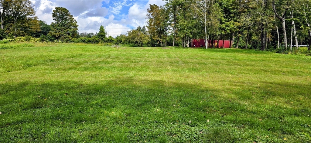 0 Miner Road Lanesborough, MA 01237 - Photo 2 of 28 a view of a backyard with large trees and plants