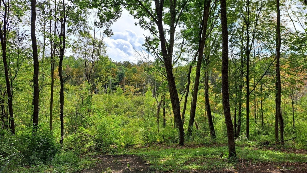 0 Miner Road Lanesborough, MA 01237 - Photo 24 of 28 a view of outdoor space and green space