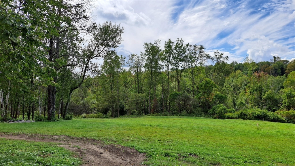 0 Miner Road Lanesborough, MA 01237 - Photo 3 of 28 a view of a lush green space