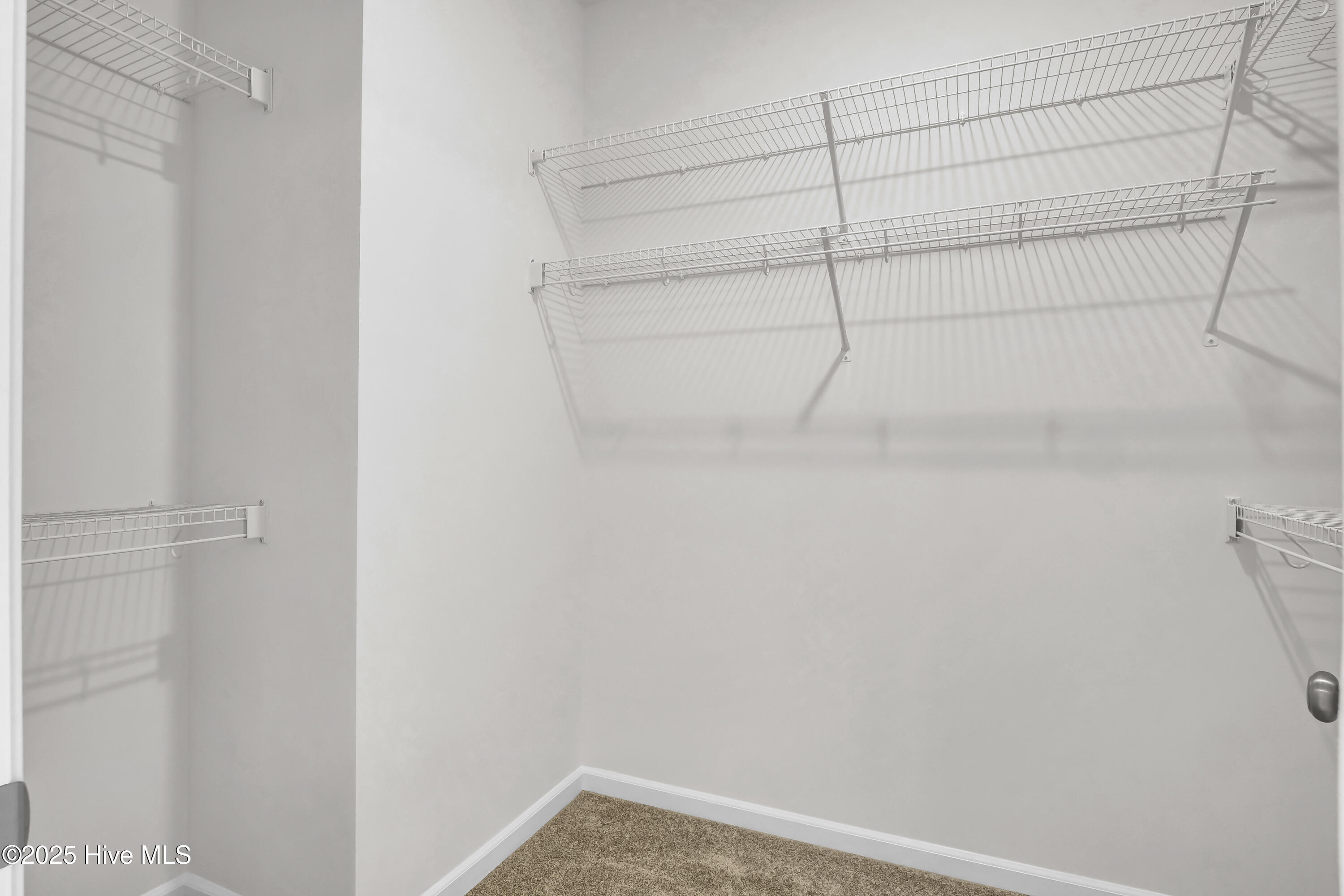 2193 Star Shower Way Leland, NC 28451 - Photo 18 of 50 Walk-In Closet