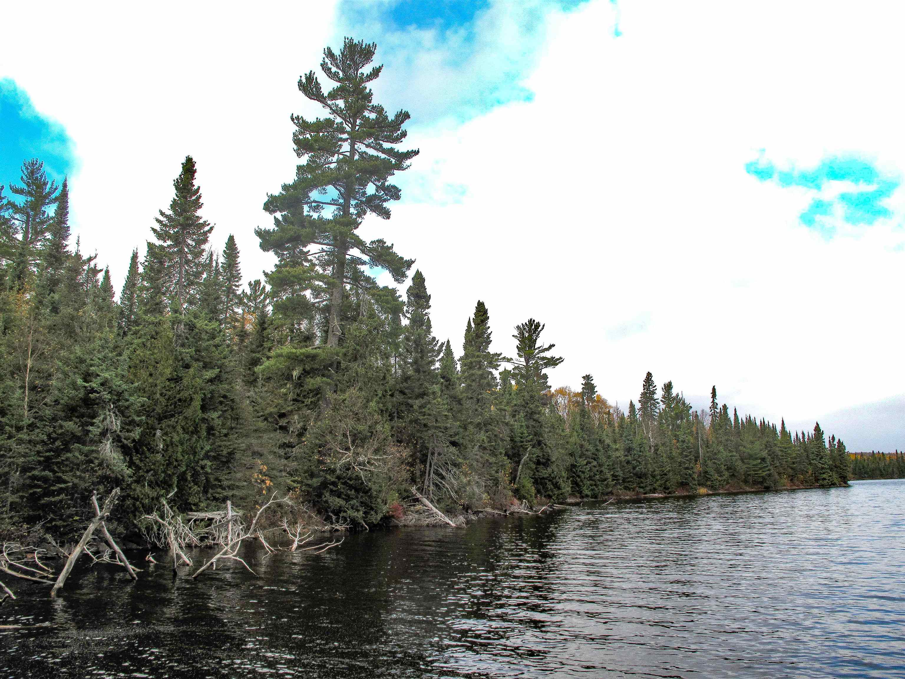 2-3 Fullerton Road Grand Marais, MN 55604 - Photo 20 of 80