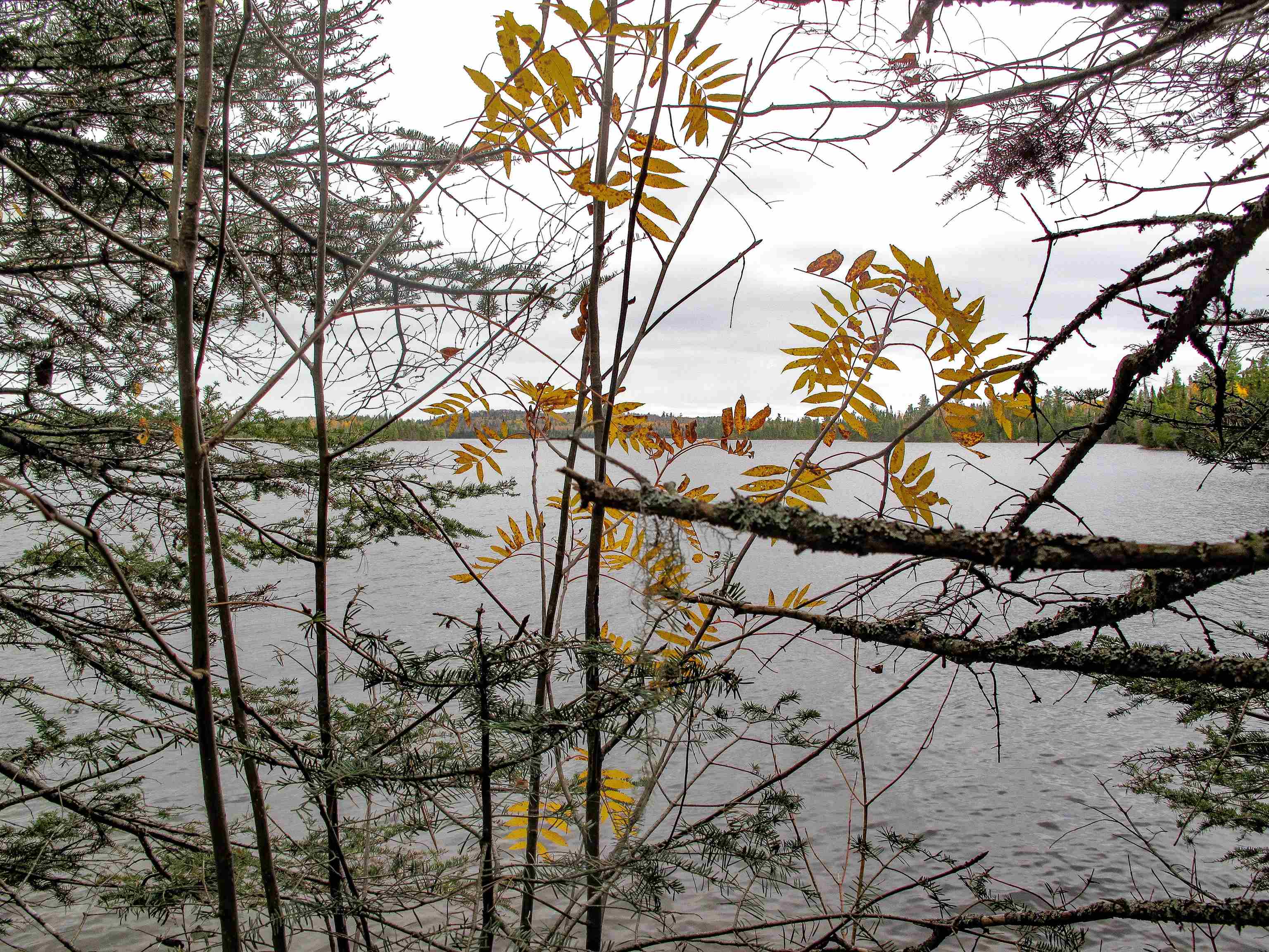 2-3 Fullerton Road Grand Marais, MN 55604 - Photo 26 of 80