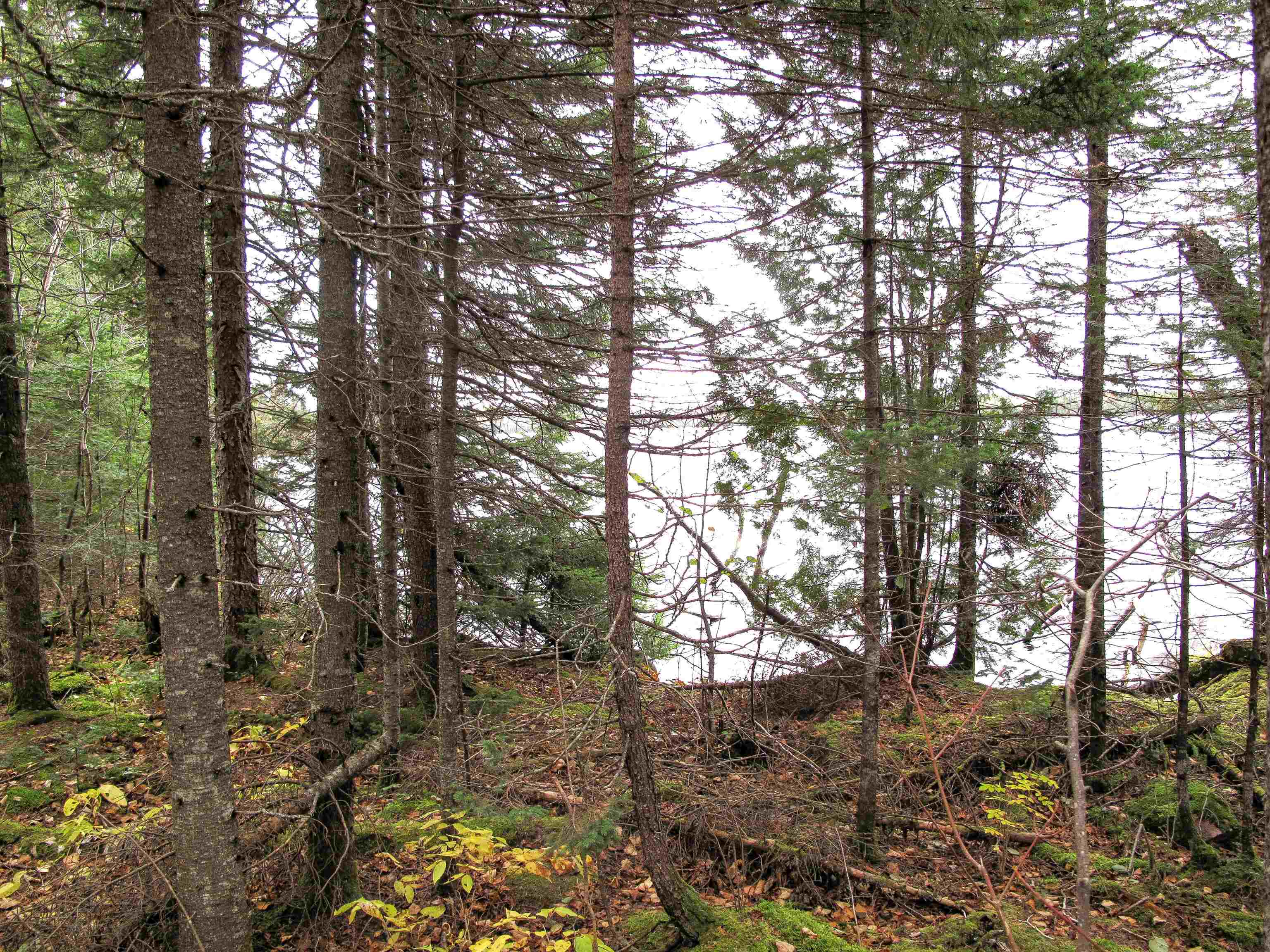 2-3 Fullerton Road Grand Marais, MN 55604 - Photo 27 of 80
