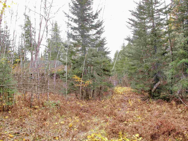$950,000 | 2-3 Fullerton Road, Grand Marais, MN 55604