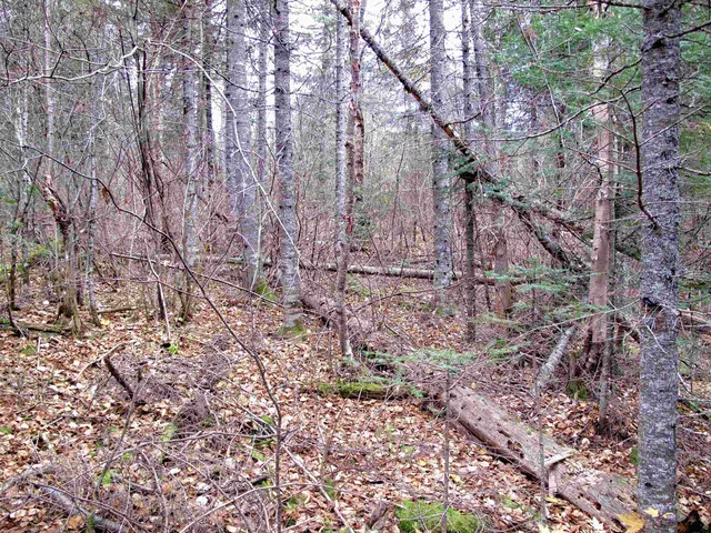 $950,000 | 2-3 Fullerton Road, Grand Marais, MN 55604