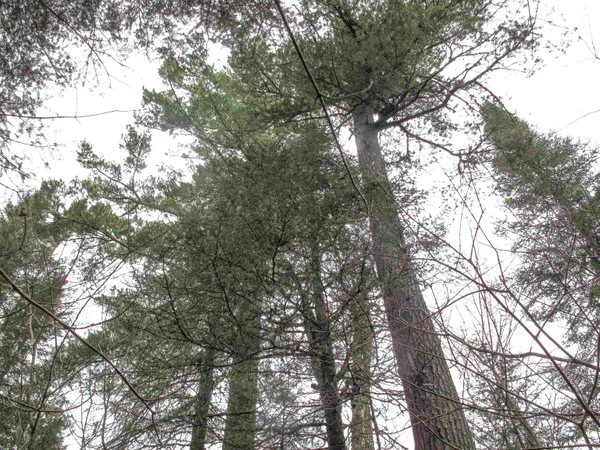 $950,000 | 2-3 Fullerton Road, Grand Marais, MN 55604