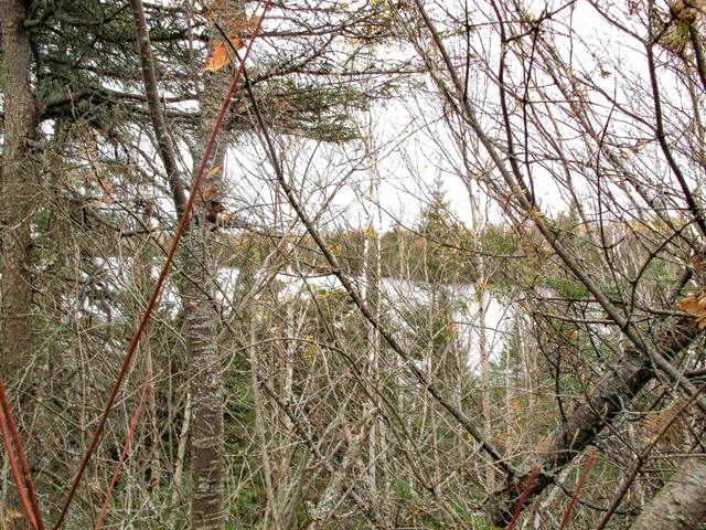 $950,000 | 2-3 Fullerton Road, Grand Marais, MN 55604