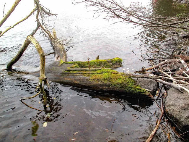 $950,000 | 2-3 Fullerton Road, Grand Marais, MN 55604