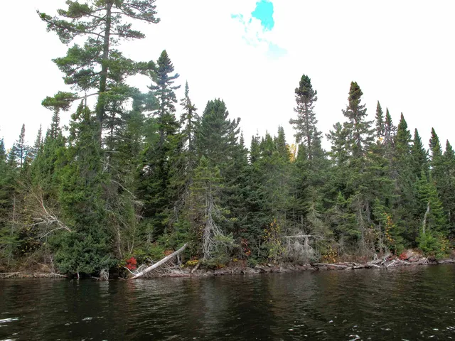 $950,000 | 2-3 Fullerton Road, Grand Marais, MN 55604