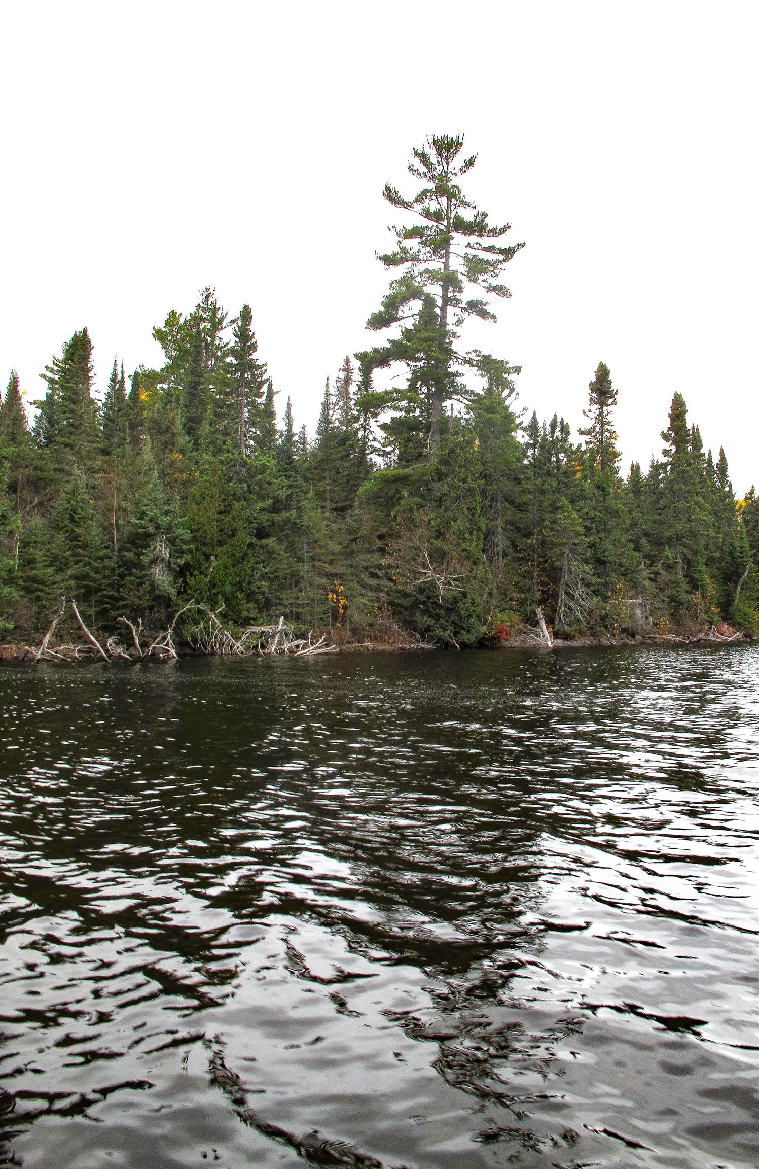 2-3 Fullerton Road Grand Marais, MN 55604 - Photo 68 of 80