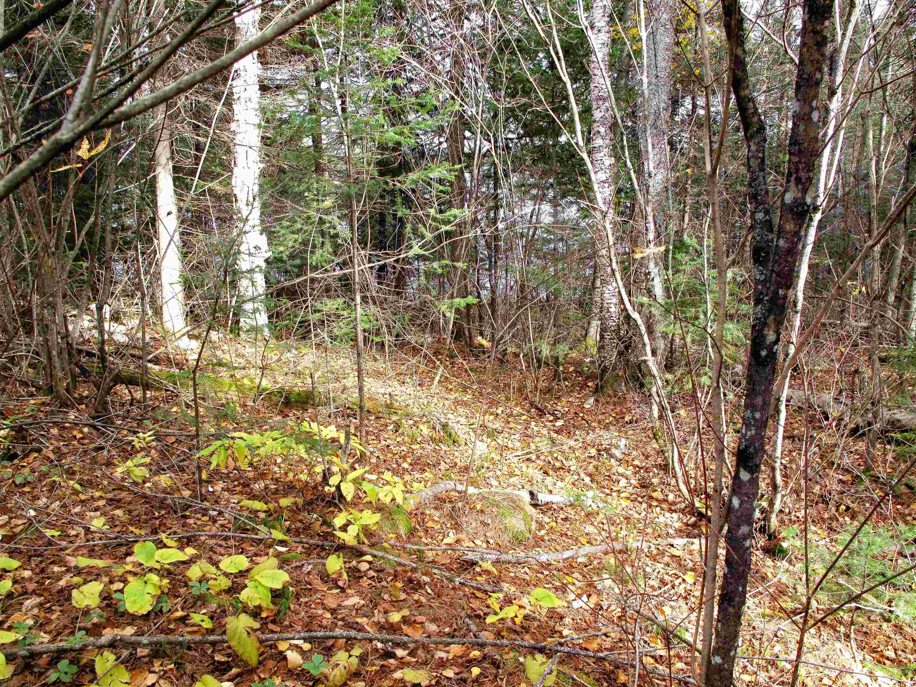 2-3 Fullerton Road Grand Marais, MN 55604 - Photo 75 of 80