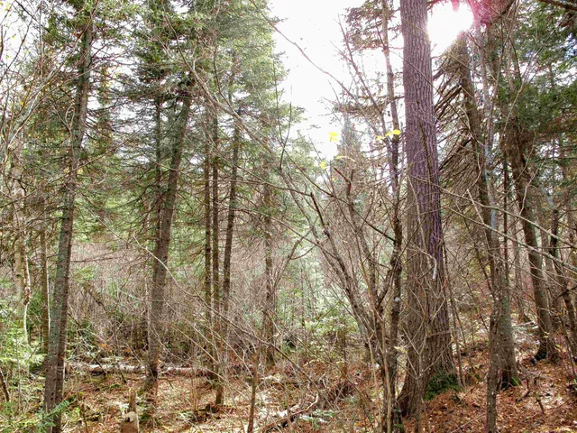 $950,000 | 2-3 Fullerton Road, Grand Marais, MN 55604