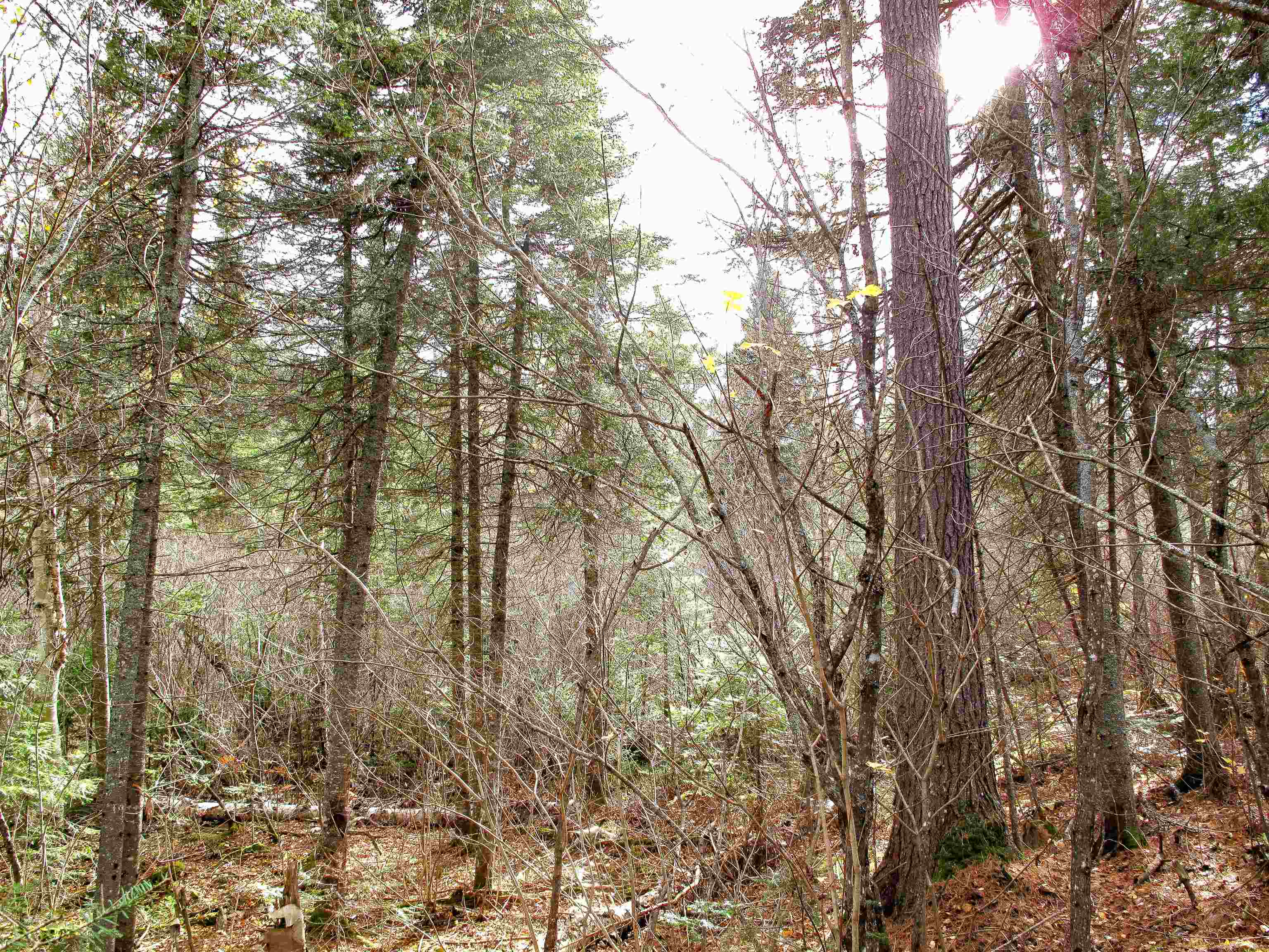 2-3 Fullerton Road Grand Marais, MN 55604 - Photo 76 of 80