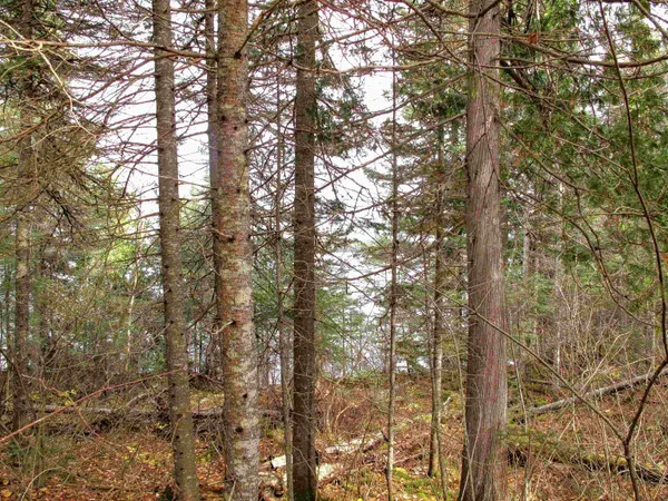 $950,000 | 2-3 Fullerton Road, Grand Marais, MN 55604