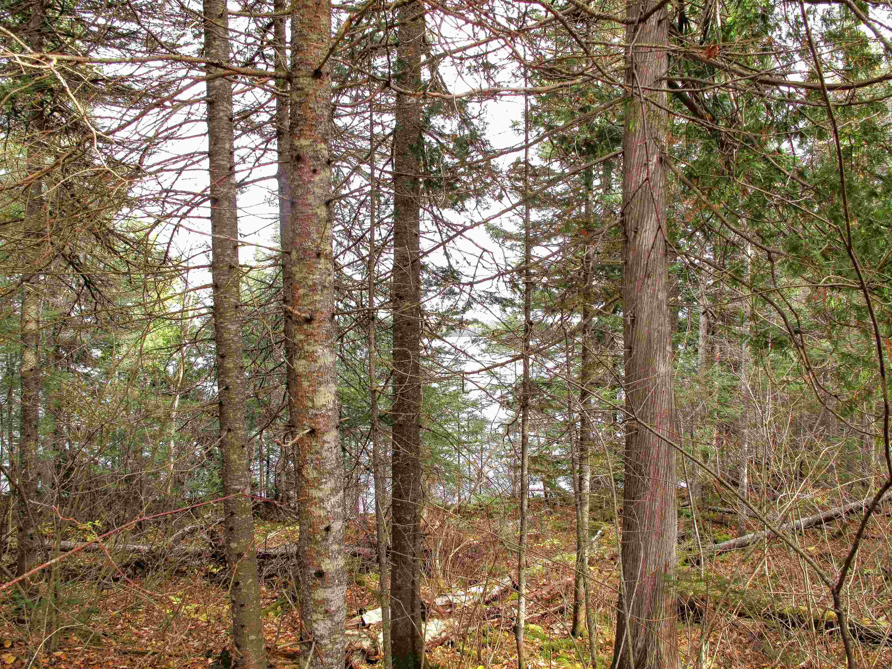 2-3 Fullerton Road Grand Marais, MN 55604 - Photo 77 of 80
