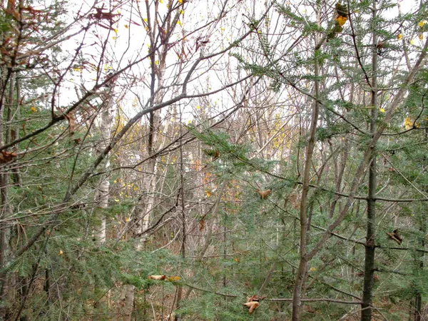 $950,000 | 2-3 Fullerton Road, Grand Marais, MN 55604