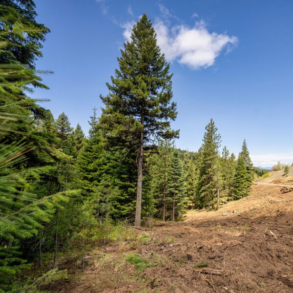 Lot 15 To Be Determined, Unit 15 McCall, ID 83638 - Photo 2 of 2