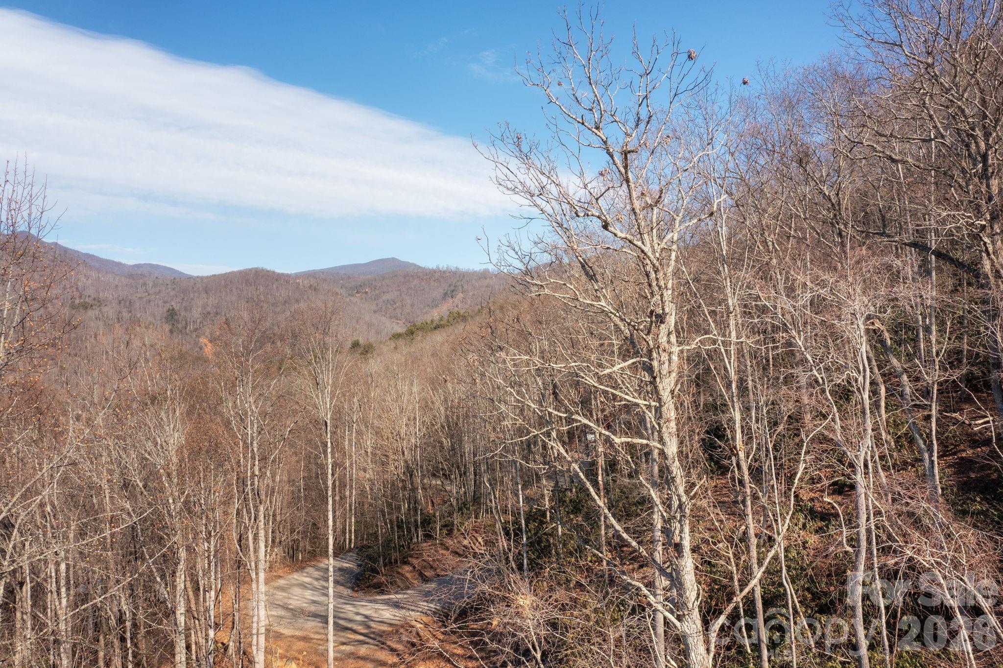 0 Bee Tree Road, Unit 103B Swannanoa, NC 28778 - Photo 14 of 20 a view of a dry yard with mountains in the background
