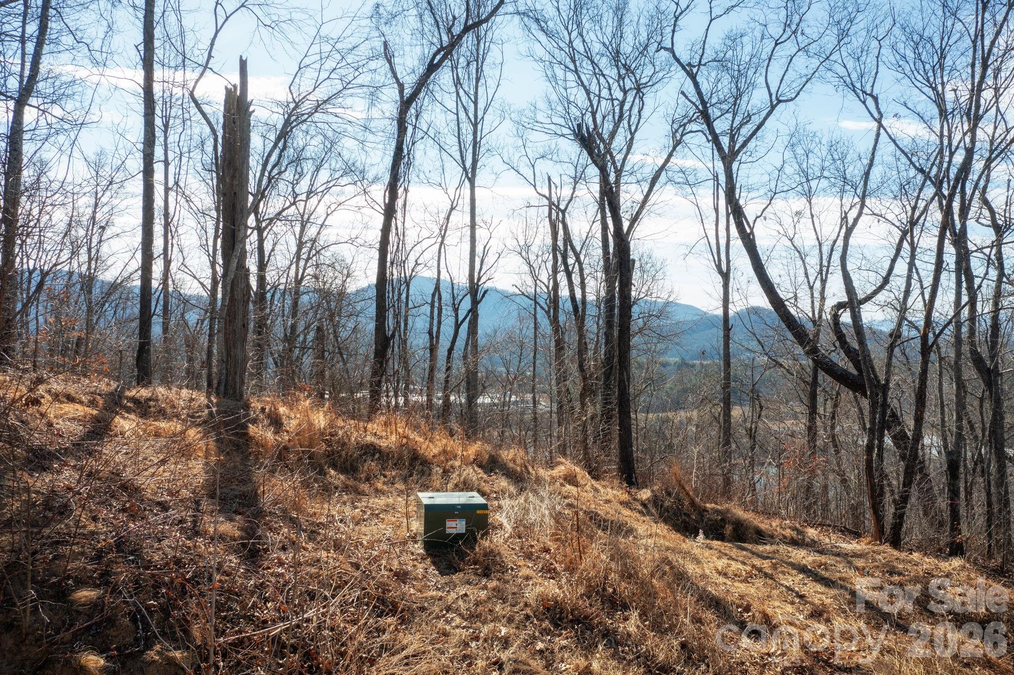 0 Bee Tree Road, Unit 103B Swannanoa, NC 28778 - Photo 15 of 20 a view of outdoor space with fountain