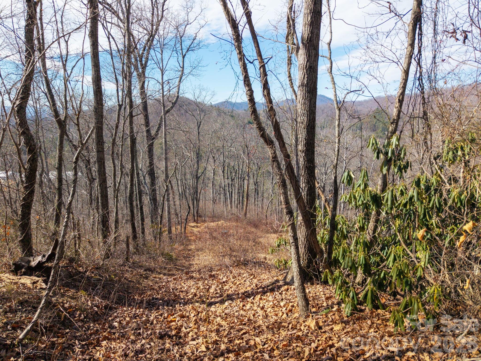 0 Bee Tree Road, Unit 103B Swannanoa, NC 28778 - Photo 17 of 20 a view of a yard with large trees