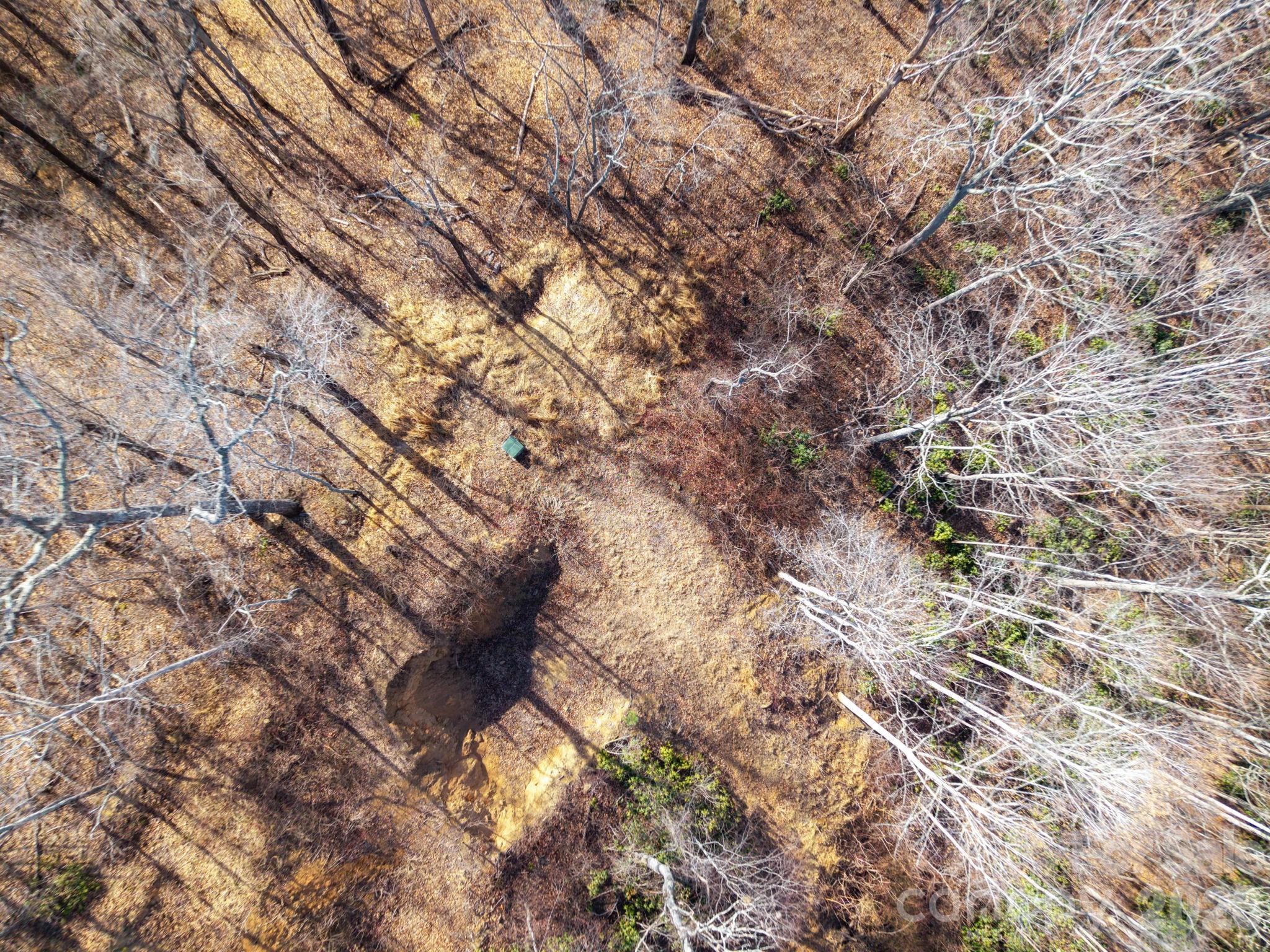 0 Bee Tree Road, Unit 103B Swannanoa, NC 28778 - Photo 18 of 20 a backyard of a house